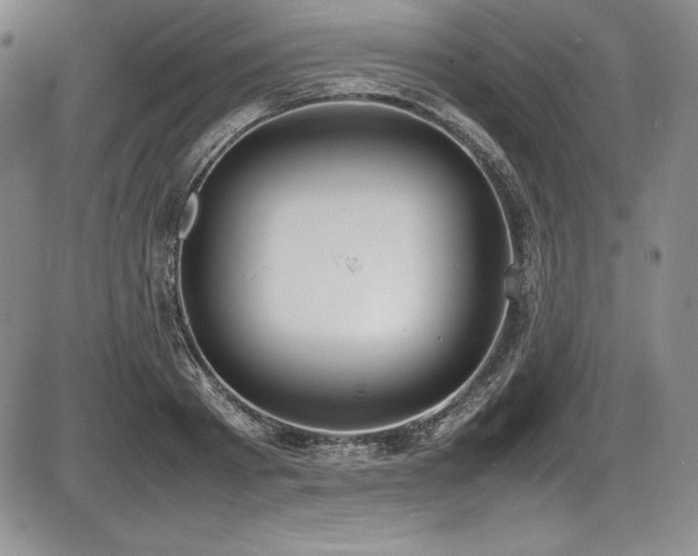 X0000086240793200703291354