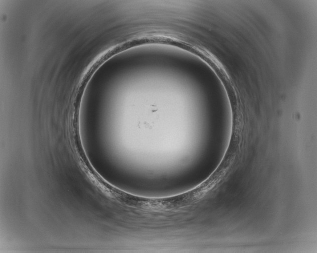 X0000086240799200703291354