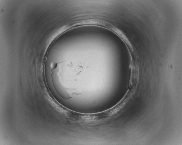X0000086240805200703291354