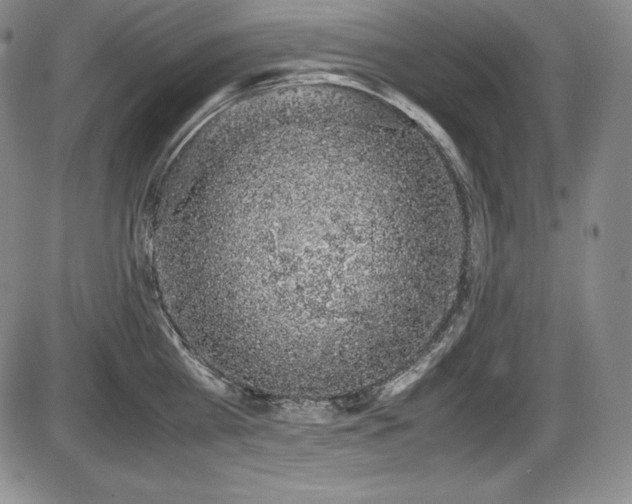 X0000086240809200703291353