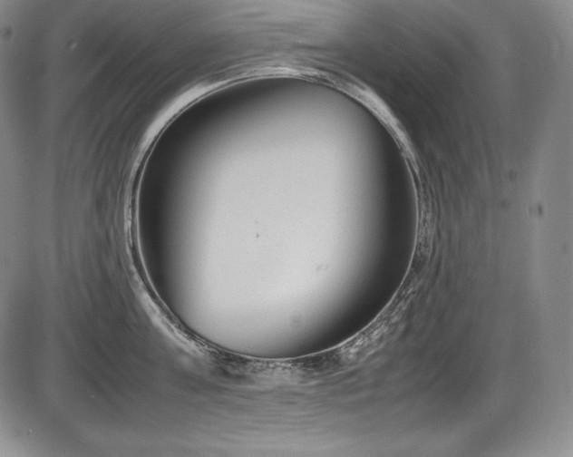 X0000086240811200703291353
