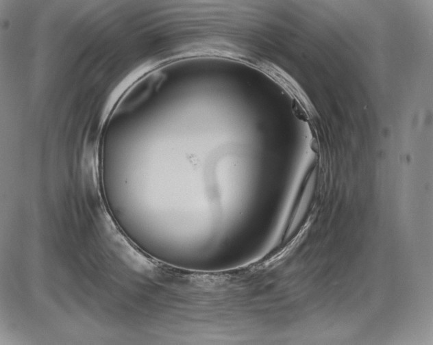 X0000086240812200703291353