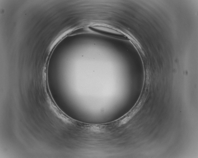 X0000086240814200703291353