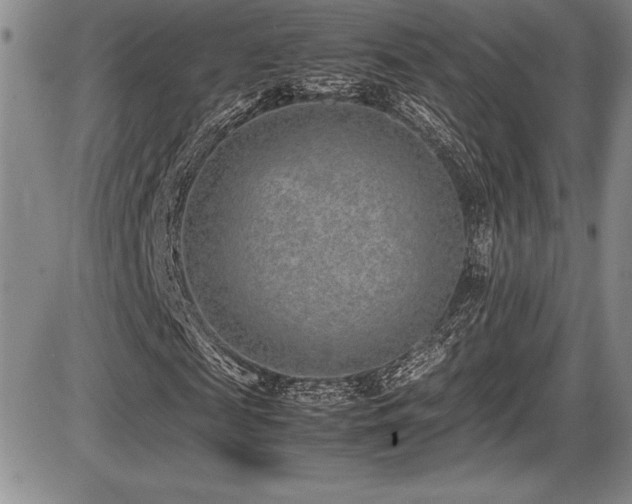 X0000086240817200703291353