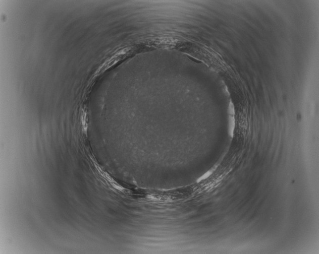X0000086240818200703291353