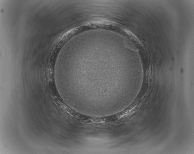 X0000086240822200703291353