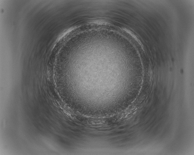 X0000086240823200703291353