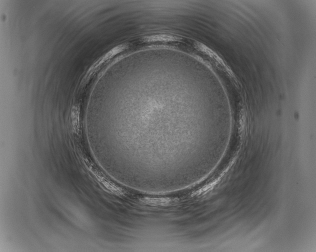 X0000086240825200703291353