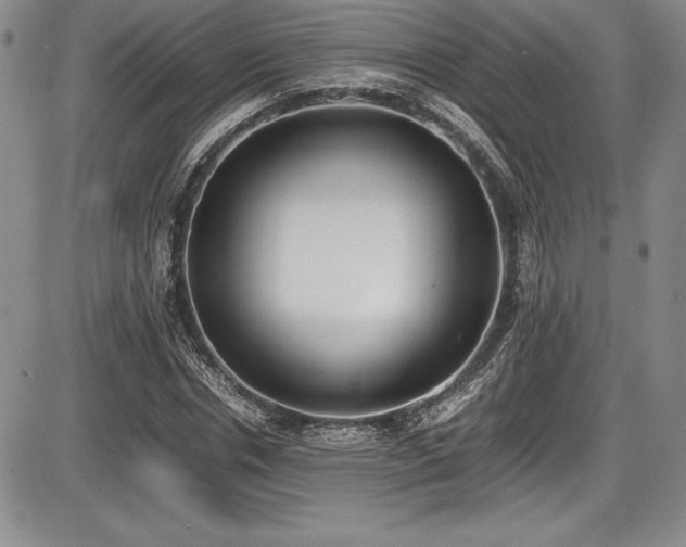X0000086240826200703291353
