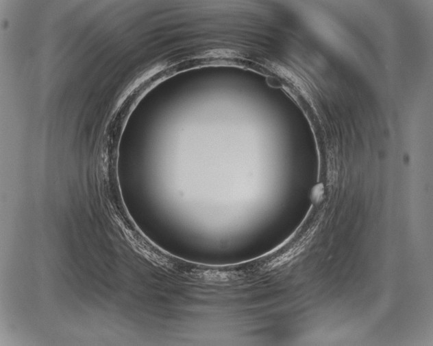 X0000086240827200703291353