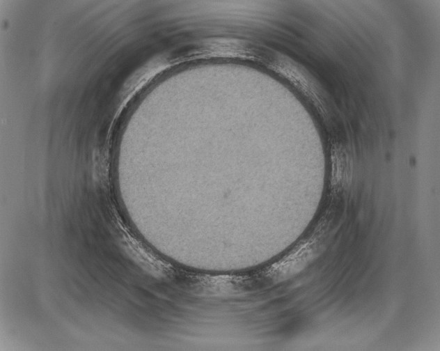 X0000086240828200703291353