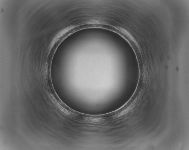 X0000086240831200703291353