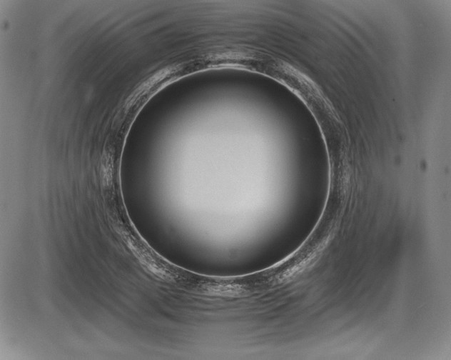 X0000086240833200703291353