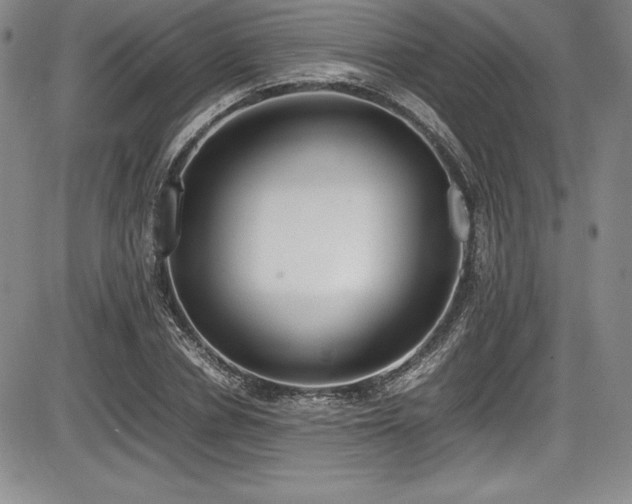 X0000086240834200703291353
