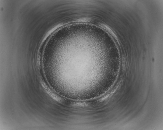 X0000086240835200703291353