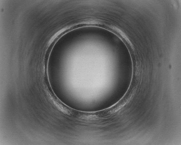 X0000086240837200703291353