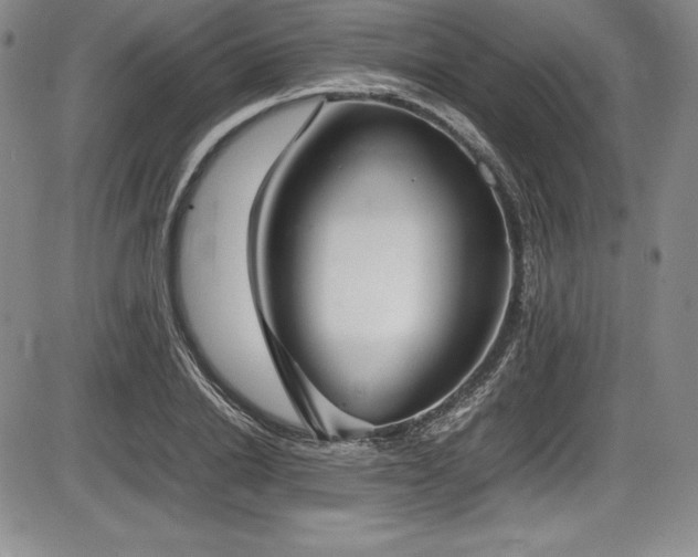 X0000086240838200703291353
