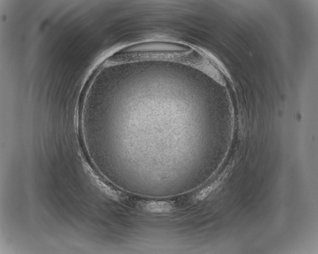 X0000086240839200703291353