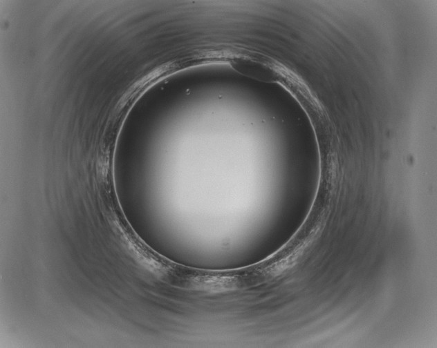 X0000086240841200703291353