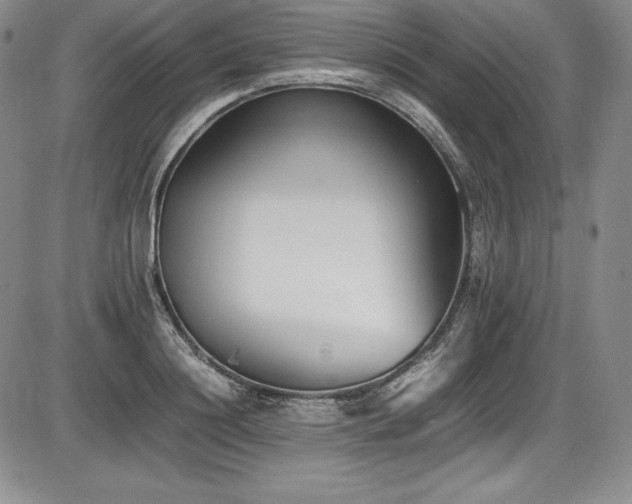 X0000086240844200703291353
