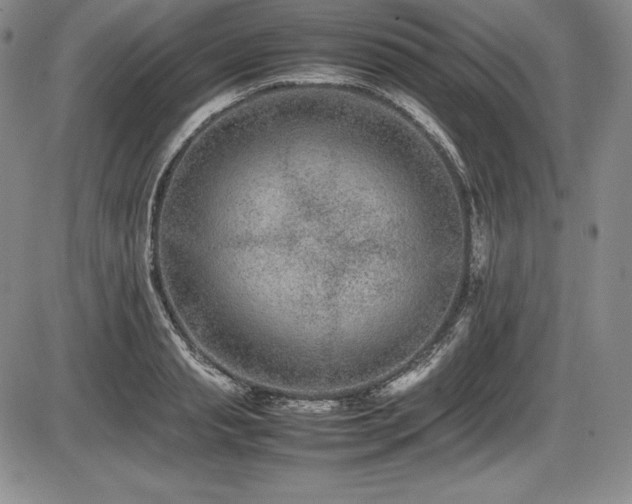 X0000086240845200703291353