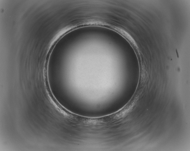 X0000086240847200703291353