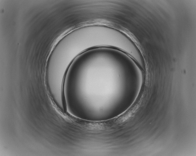 X0000086240850200703291353
