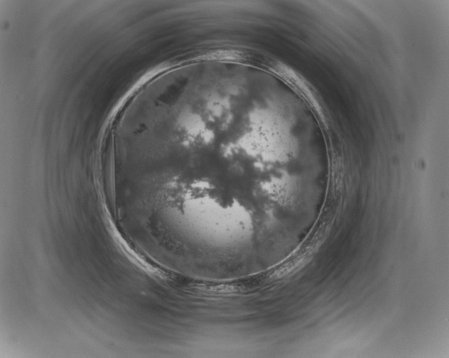 X0000086240851200703291353