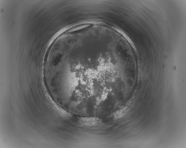 X0000086240853200703291353