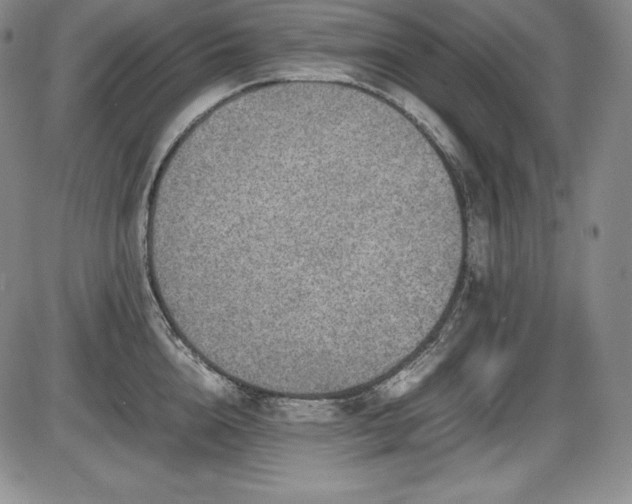 X0000086240856200703291353