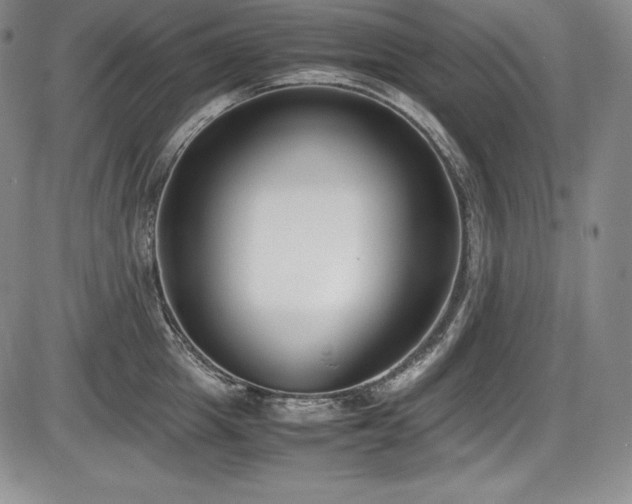 X0000086240857200703291353