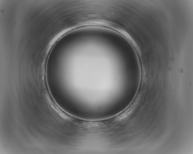 X0000086240862200703291353