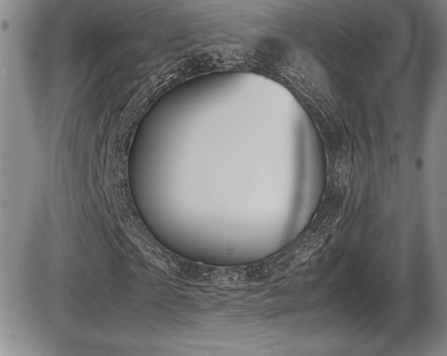 X0000086240865200703291353