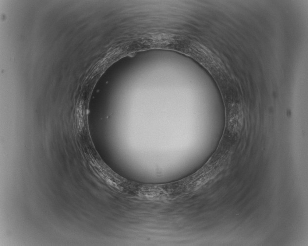 X0000086240866200703291353