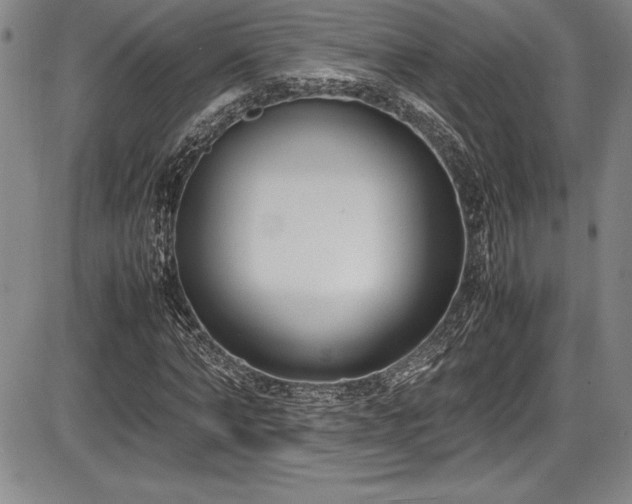 X0000086240870200703291352