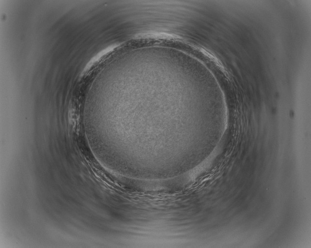 X0000086240872200703291352