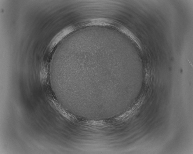 X0000086240874200703291352