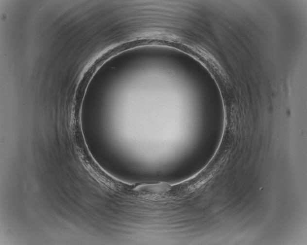 X0000086240880200703291352