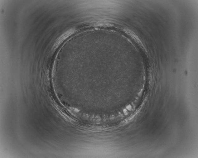 X0000086240881200703291352