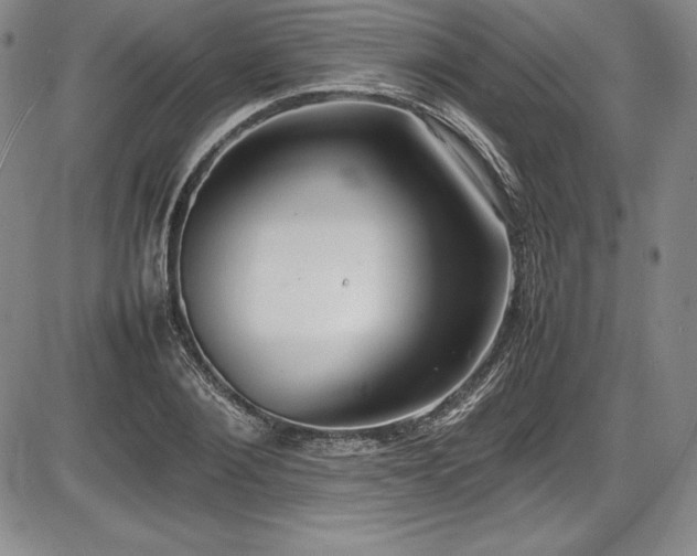X0000086240884200703291352