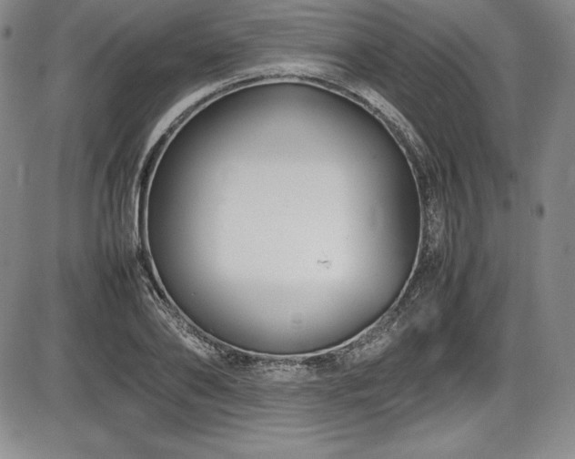 X0000086240886200703291352