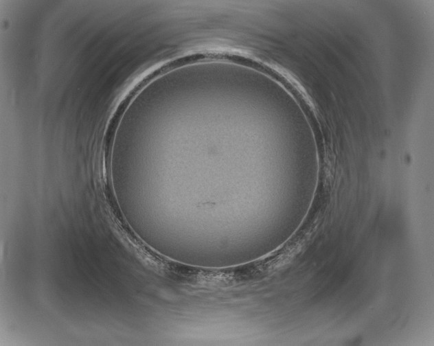 X0000086240887200703291352