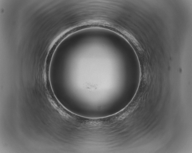 X0000086240888200703291352