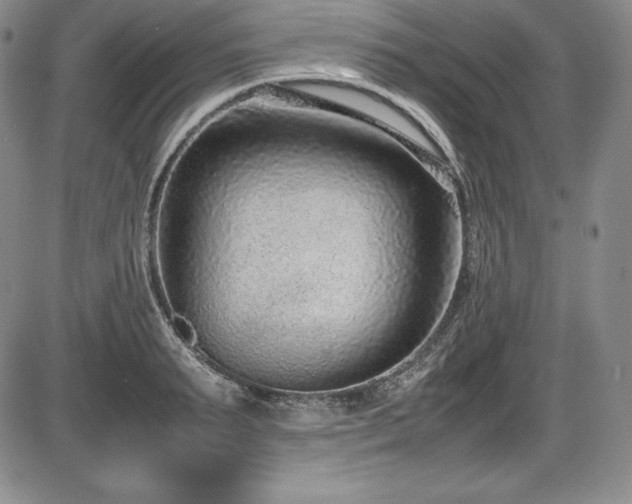 X0000086240895200703291352