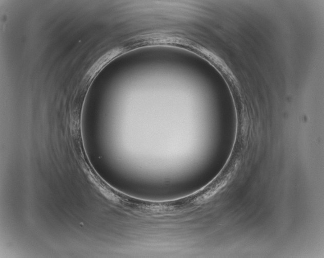 X0000086240897200703291352