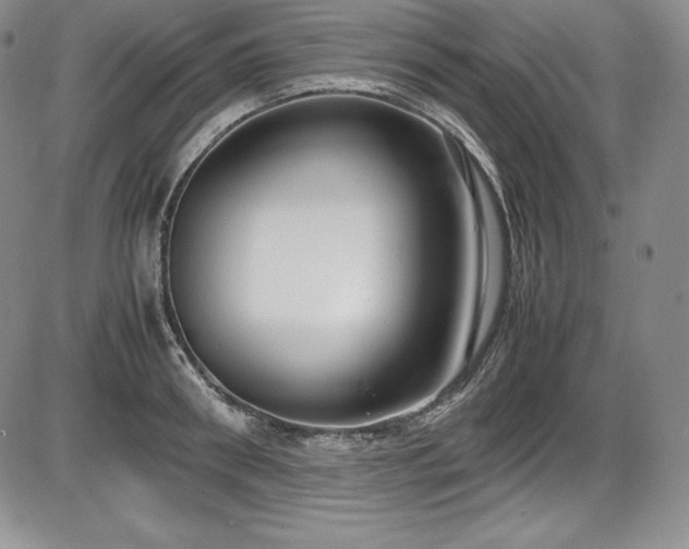 X0000086240898200703291352