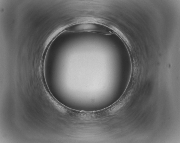 X0000086240901200703291352