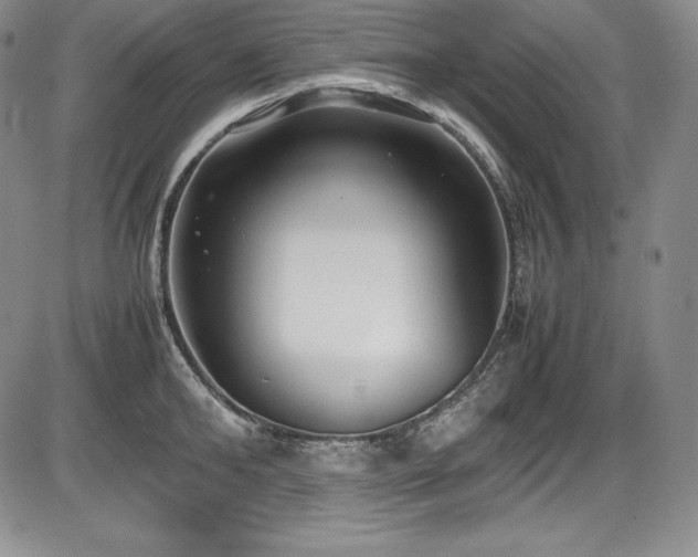 X0000086240902200703291352