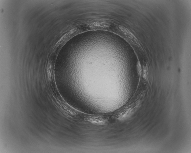 X0000086240915200703291351