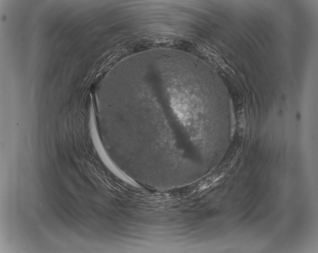 X0000086240916200703291351